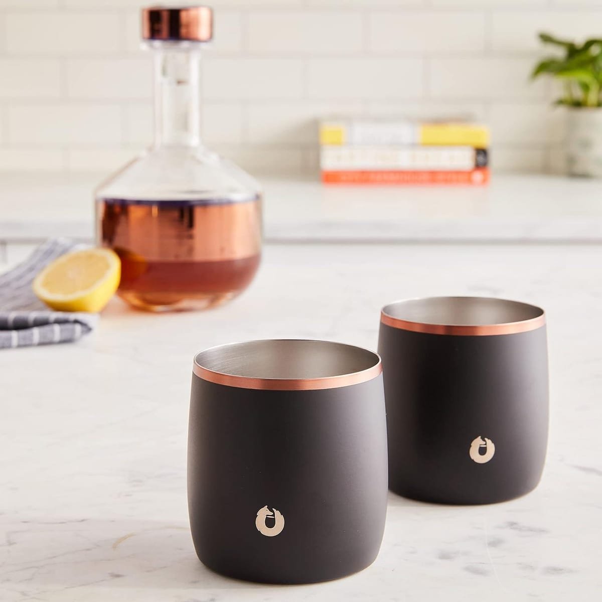 SNOWFOX Insulated Stainless Steel Whiskey Glasses set